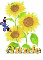 annie sun flower