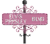 pink street sign elvis presley BLVD