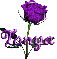 purple rose tonya