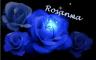 ROSANNA WITH BLUE ROSE'S