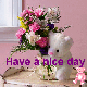 have a  nice day