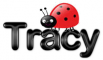 tracy ladybug