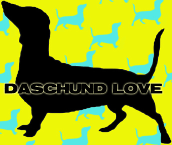 yellow doxie love