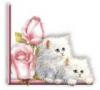2 kittens with a pink rose