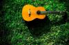 guitar on the grass