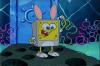 spongebob squre pants 
