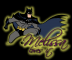 Melissa Loves It ~ Batman