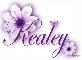 Purple Flower - Kealey
