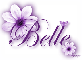 Purple Flower - Belle