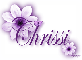 Purple Flower - Chrissi
