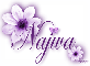 Purple Flower - Najwa