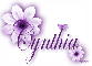 Purple Flower - Cynthia