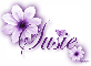 Purple Flower - Susie