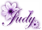 Purple Flower - Judy
