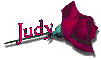 Red Rose - Judy