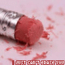 can't erase you