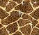 giraffe glitter wall