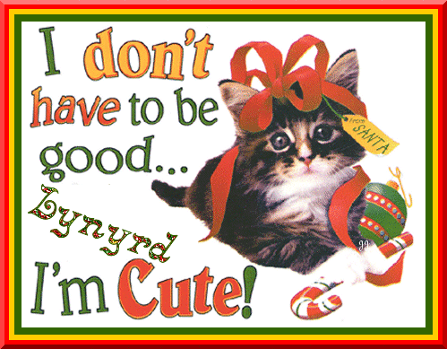 Lynyrd ~ I Don't Have To Be Good I'm Cute!