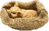 pig in straw bed