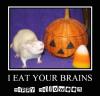 I Eat Your Brains- Rat