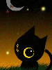 black hallowween cat