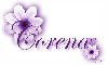 Purple Flowers - Corena