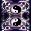 yin yang avatar