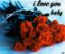 roses i love you