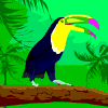 toucan avatar