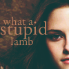 Bella - stupid lamb