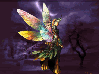 purple fairy morphed
