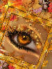 eye on autumn