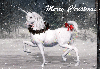 christmas unicorn with candy cane