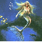 tito mermaid