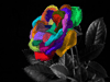 Rainbow Rose Avatar