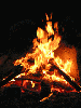 camp fire