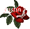 Butterfly Red Rose - Justin