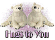 polar bears:hugs