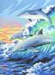 Dolphin Painting