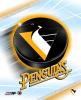 pitsburgh penguins