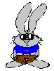 cool bunny
