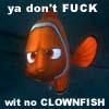 dont fuck with clown fish