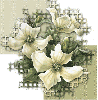 white flowers on lattice