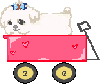 puppy wagon