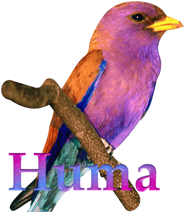 Huma