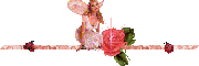 angel co rosa