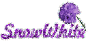 SnowWhite Purple Flower