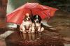 puppys in the rain 