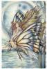 Fairy on a Butterfly-Bergsma Art