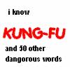 I know kungfu